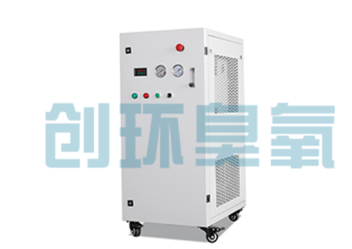 嘉峪关石斑鱼养殖水质调控完整指南：臭氧发生器配置与操作步骤