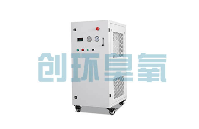 嘉峪关比传统换水更高效？臭氧发生器在石斑鱼养殖中的水质净化原理解析